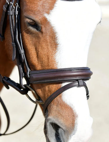 Buy Collegiate ComFiTec Opulux Plain Padded Hanoverian Flash Bridle | Online for Equine
