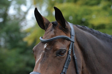 Buy Collegiate ComFiTec Vogue Anatomical Bridle| Online for Equine