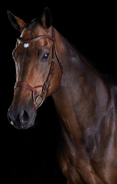 Buy Collegiate ComfiTec Training Bridle| Online for Equine