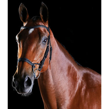 Buy Collegiate ComfiTec Training Bridle| Online for Equine
