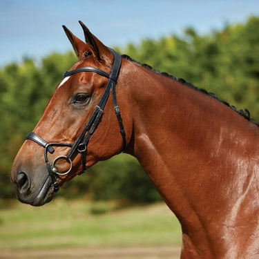 Buy Collegiate ComfiTec Training Bridle| Online for Equine