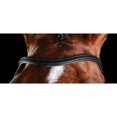 Buy Collegiate ComfiTec Training Bridle| Online for Equine