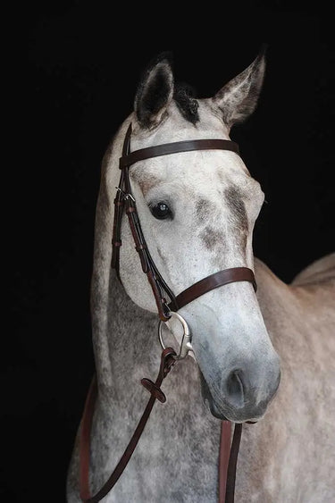 Buy Collegiate Hunt Cavesson Bridle IV| Online for Equine