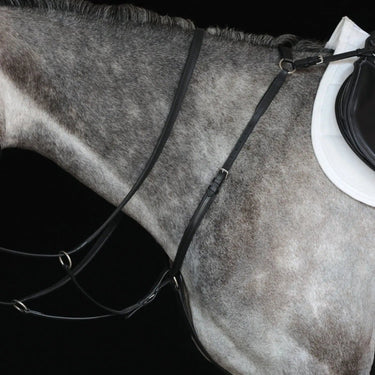 Buy Collegiate Hunter Breast Plate IV| Online for Equine