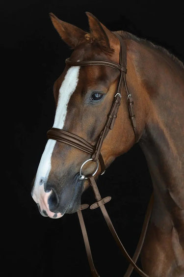 Buy Collegiate Mono Crown Padded Raised Cavesson Bridle| Online for Equine