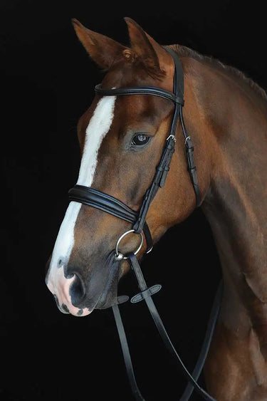Buy Collegiate Mono Crown Padded Raised Cavesson Bridle| Online for Equine