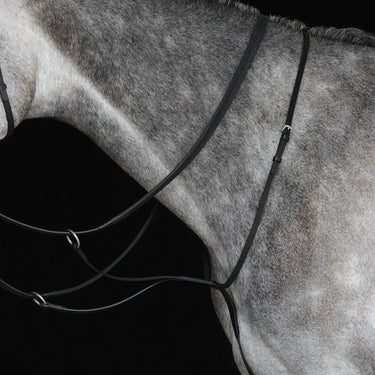 Buy Collegiate Running Martingale IV| Online for Equine