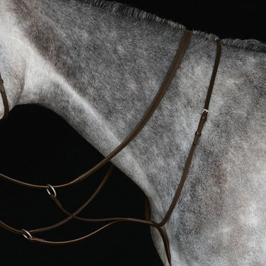 Buy Collegiate Running Martingale IV| Online for Equine