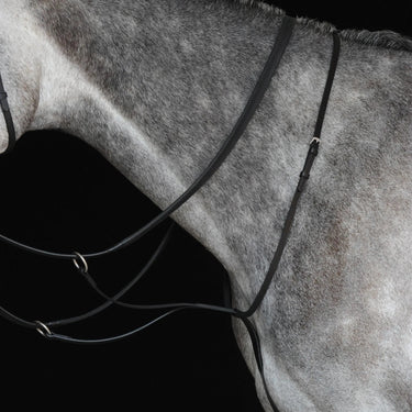 Buy Collegiate Running Martingale IV| Online for Equine