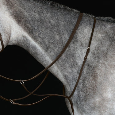 Buy Collegiate Running Martingale IV| Online for Equine