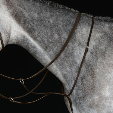 Buy Collegiate Running Martingale IV| Online for Equine