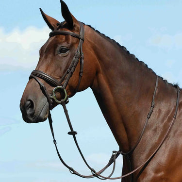 Buy Collegiate Syntovia + Plain Flat Running Martingale| Online for Equine