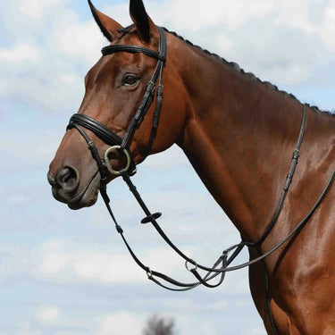 Buy Collegiate Syntovia + Plain Flat Running Martingale| Online for Equine