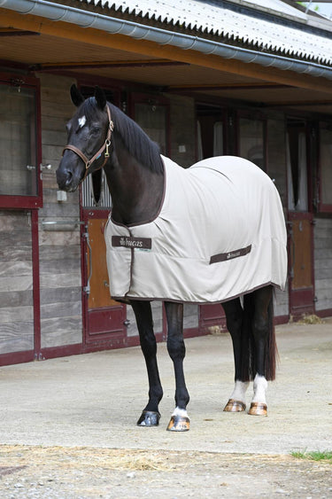 Bucas Cool Sheet Linen Rug