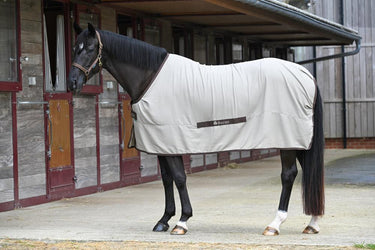 Bucas Cool Sheet Linen Rug