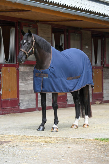 Bucas Cool Sheet Linen Rug