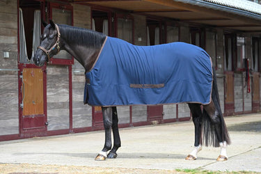 Bucas Cool Sheet Linen Rug