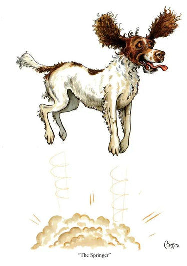 Buy Country Greeting Cards| Online for Equine