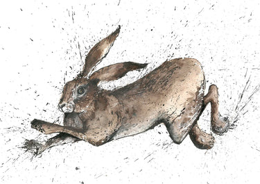 Buy Country Greeting Cards| Online for Equine