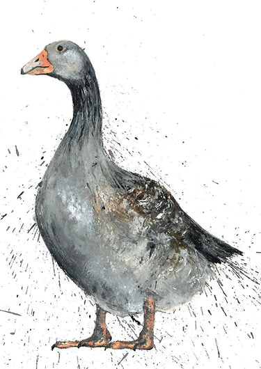 Buy Country Greeting Cards| Online for Equine