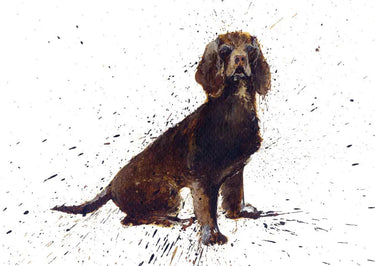 Buy Country Greeting Cards| Online for Equine