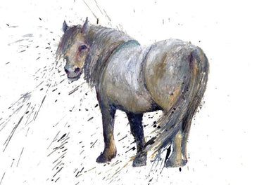 Buy Country Greeting Cards| Online for Equine