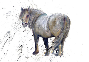 Buy Country Greeting Cards| Online for Equine