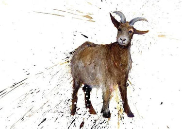 Buy Country Greeting Cards| Online for Equine