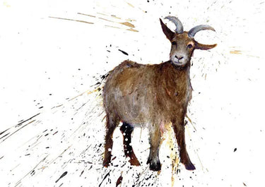 Buy Country Greeting Cards| Online for Equine