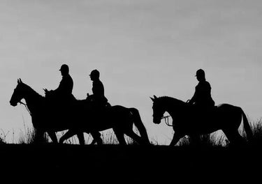 Buy Country Greeting Cards| Online for Equine