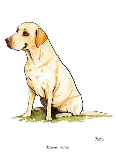 Buy Country Greeting Cards| Online for Equine