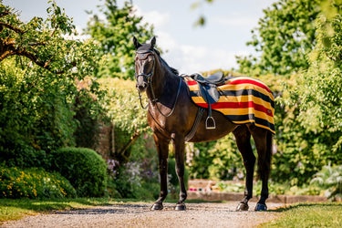 Horseware Ireland Newmarket Exercise Sheet Witney Gold