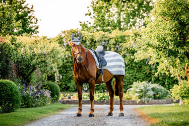 Horseware Ireland Newmarket Exercise Sheet Witney Charcoal