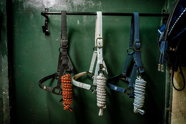 Horseware Ireland Newmarket Headcollar & Leadrope Witney Gold
