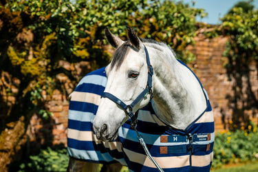 Horseware Ireland Newmarket Headcollar & Leadrope Witney Navy
