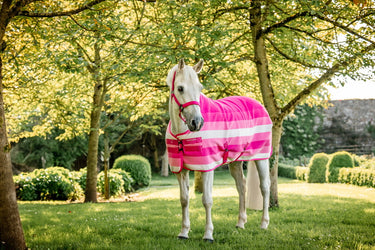 Horseware Ireland Newmarket Headcollar & Leadrope Witney Pink