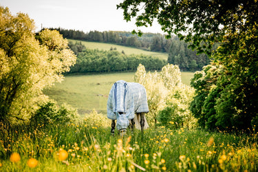 Horseware Ireland Newmarket Plus Rug Fly Sheet Witney Charcoal
