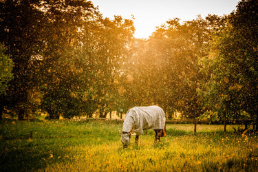 Horseware Ireland Newmarket Plus Rug Fly Sheet Witney Charcoal