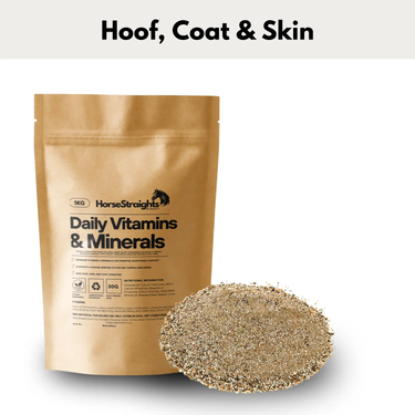 Daily Vitamins and Minerals| Online For Equine