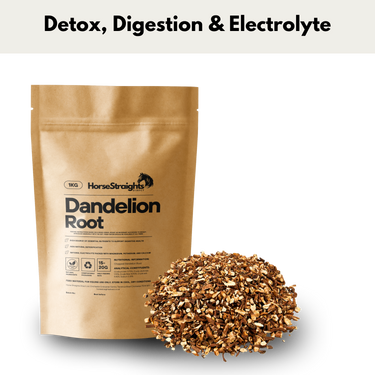 Dandelion Root| Online For Equine