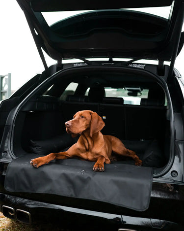 Buy Danish Design Boot Bed | Online for Equine