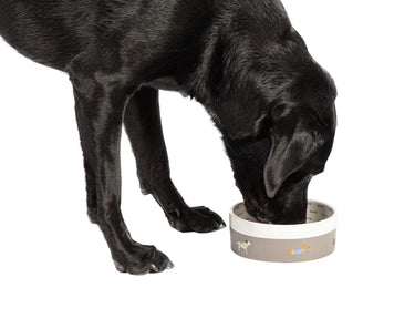 Danish Design Fatface Marching Dogs Pet Bowl| Online For Equine