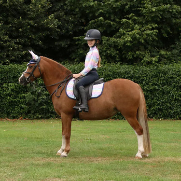 Dazzling Dream Fly Veil by Little Rider| Online For Equine