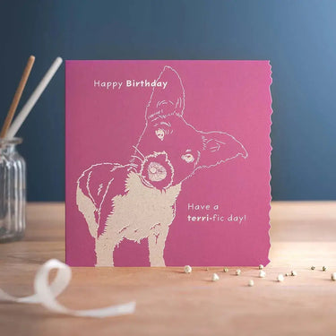 Deckled Edge Colour Block| Online For Equine