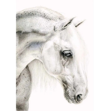 Deckled Edge Eureka! Card| Online For Equine