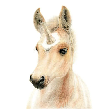 Deckled Edge Eureka! Card| Online For Equine