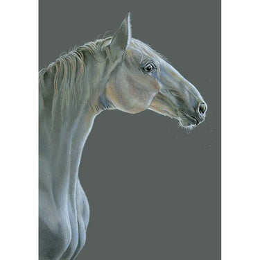 Deckled Edge Eureka! Card| Online For Equine