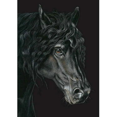 Deckled Edge Eureka! Card| Online For Equine