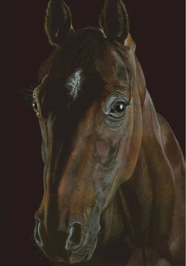 Deckled Edge Eureka! Card| Online For Equine