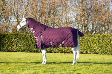 DefenceX Shield 100g Stable Rug with Detachable Neck| Online For Equine